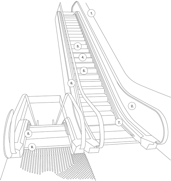 Naiovety Equipo de escalada Accesorios de espeleología de alta resistencia  Ascensor manual para mochileros Escalada una mano izquierda Naiovety  OD019788-01